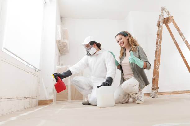 Best Water Damage & Mold Remediation  in Greensburg, PA